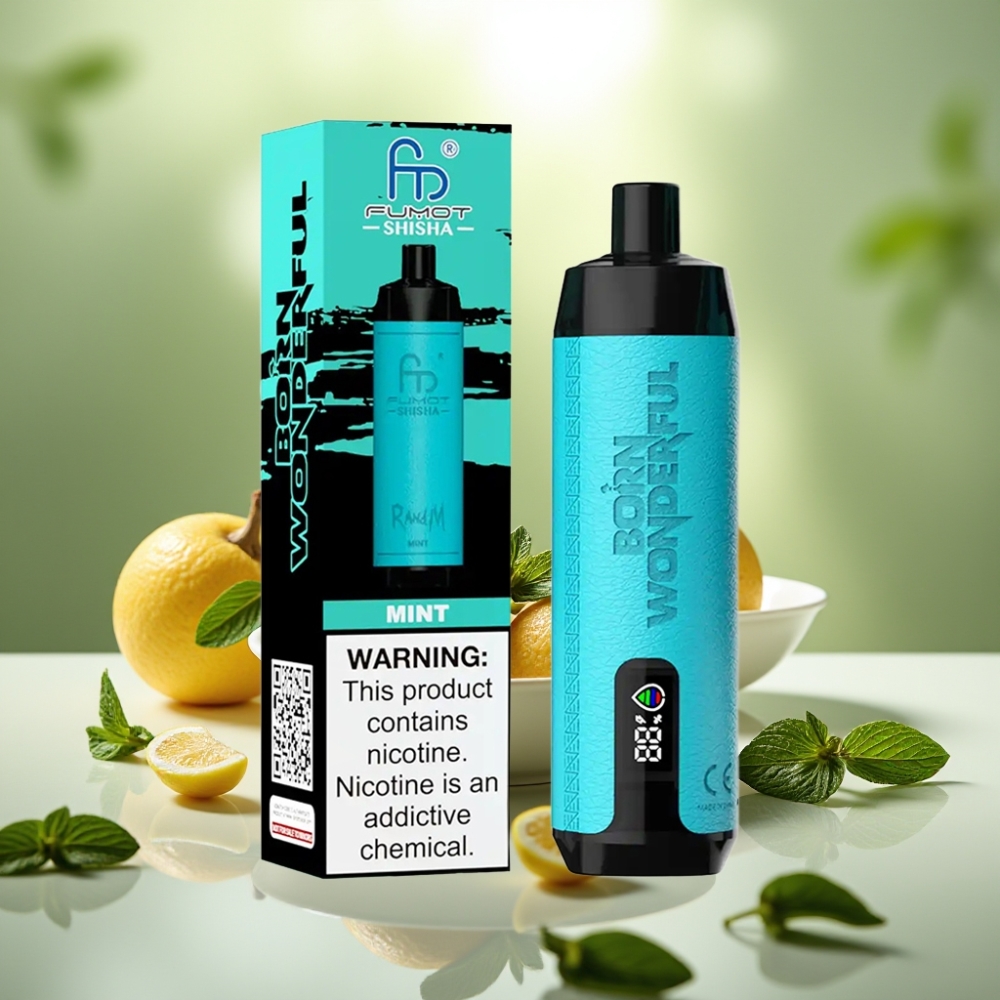 RandM Fumot Shisha 10000 Puff Disposable Mint 18ml Type-C