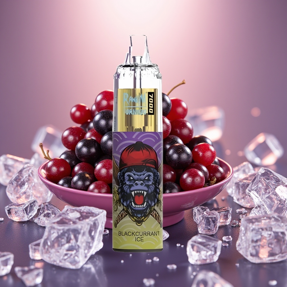 RandM Fumot Tornado 7000 Puffs Disposabeli Vape Mustikkajää 14 ML Type-C
