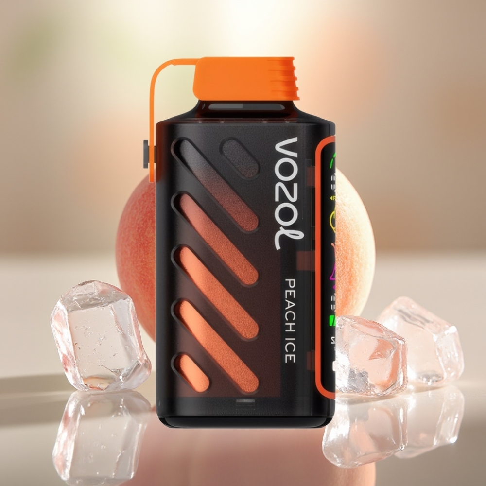 VOZOL Gear Power 20000 Pähkinäjää - Dual Mesh Coil Full Screen Display SiLC Tech