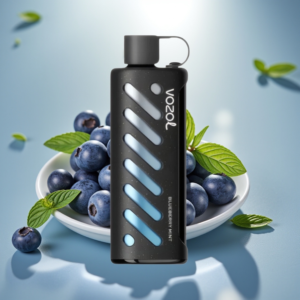 VOZOL Gear Shisha 25000 Puffaa Dual Mesh Mustikka Minttu 1000mAh