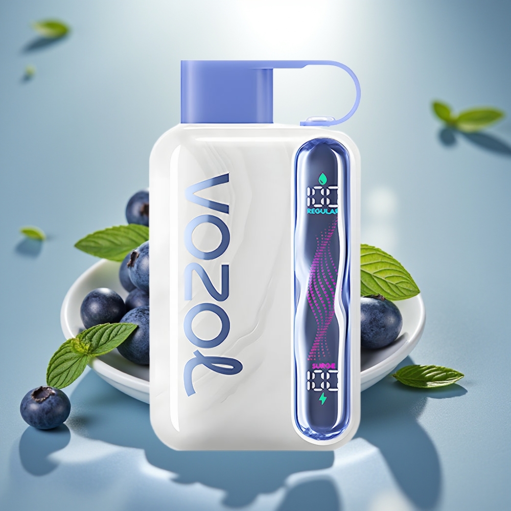 VOZOL STAR 40000 Puffs Disposable Vape Mustikka Minttu 1000mAh Type-C