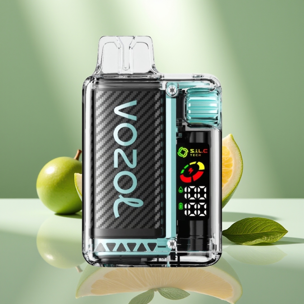 VOZOL Vista 20000 Tupaa Ladattava Miami Mint OLED-näyttö 650mAh