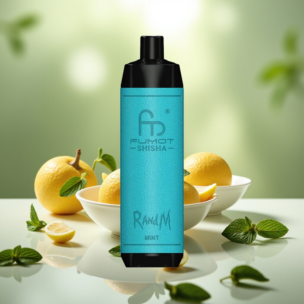 RandM Fumot Shisha 10000 Puff Disposable Mint 18ml Type-C