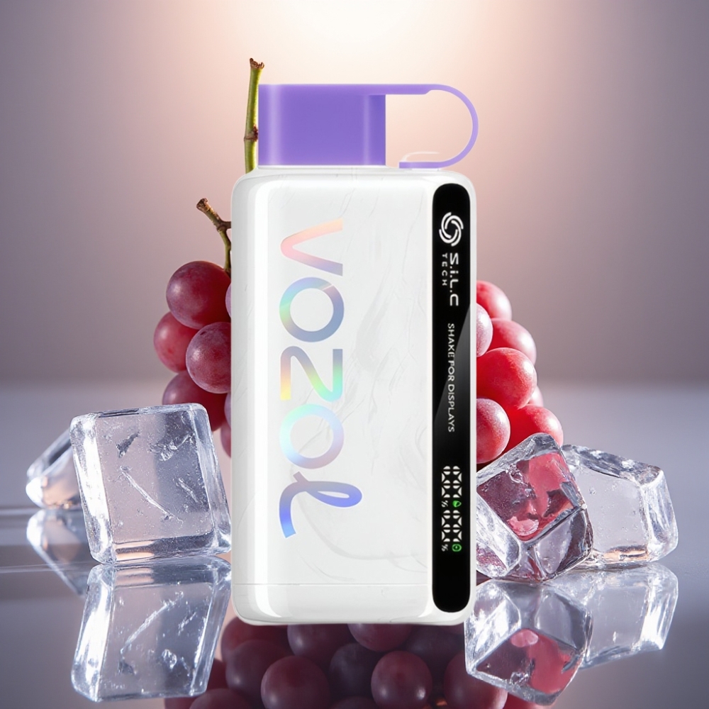 VOZOL STAR 9000/12000 Käytetty Vape Viinijää 650mAh 30 nopeampi lataus