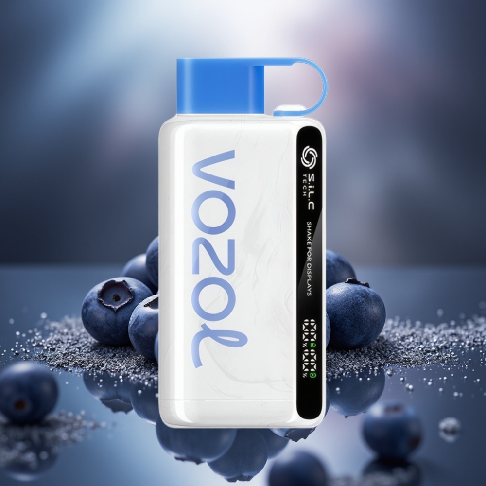 VOZOL STAR 9000/12000 Käytöstä Poistettava Vape Mustikkamyrsky 650mAh 30 nopeampi lataus