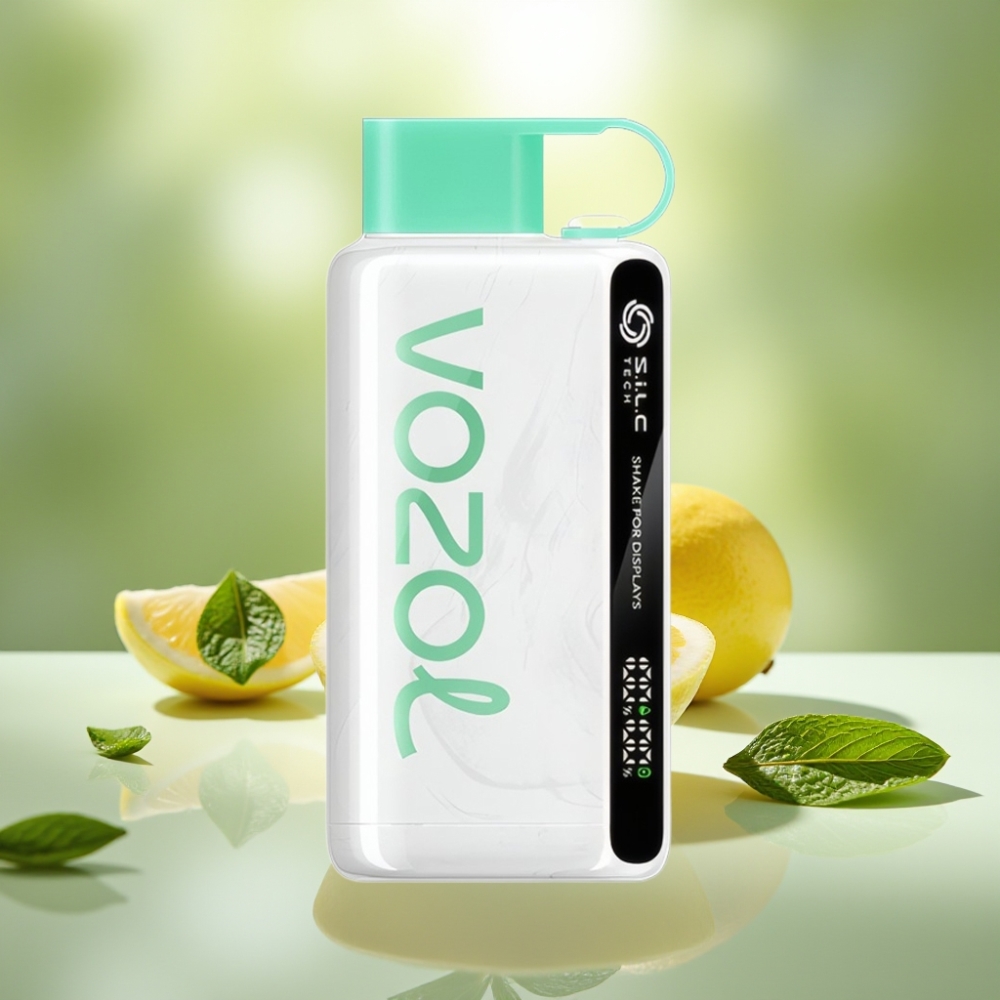 VOZOL STAR 9000/12000 Käytettä Vape Sitruuna-Mintti 30 Nopeampi Lataus 650mAh